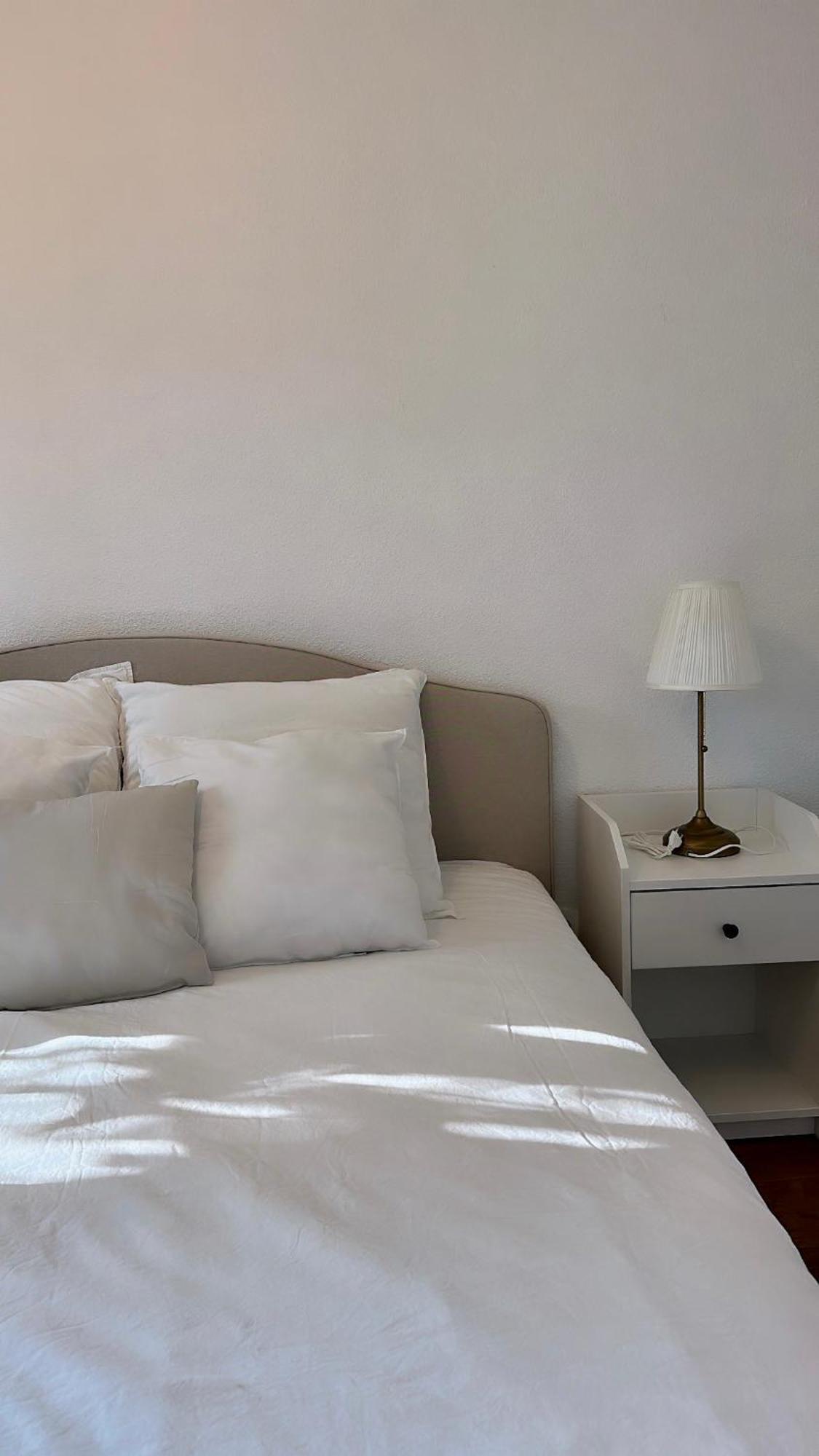 Residence Villa Rose T3 Parking Prive 圖盧茲 外观 照片
