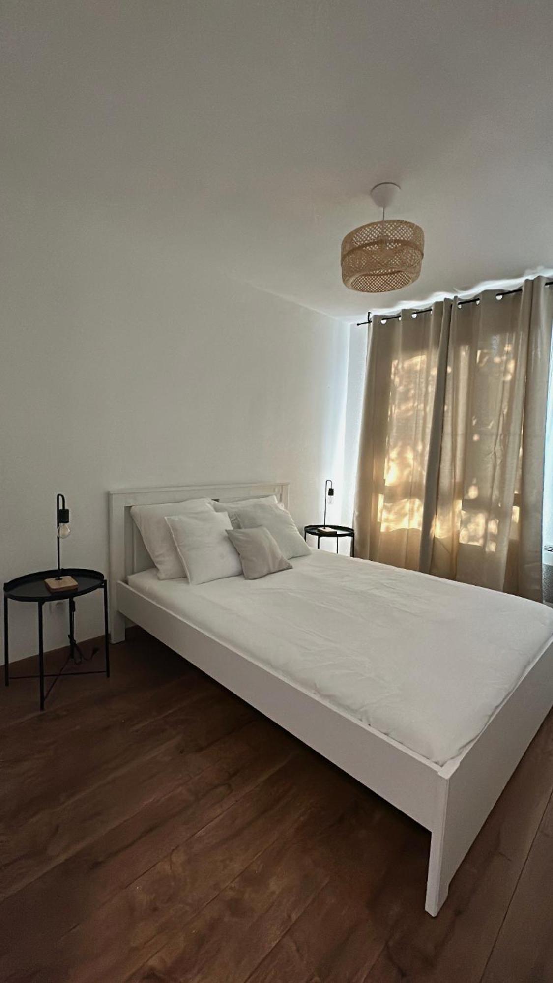Residence Villa Rose T3 Parking Prive 圖盧茲 外观 照片